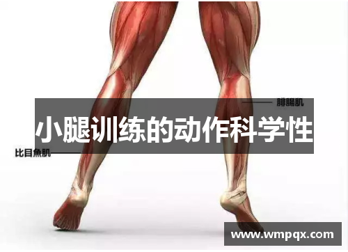 小腿训练的动作科学性
